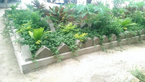 union beach bungalows