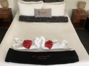 coachman motel