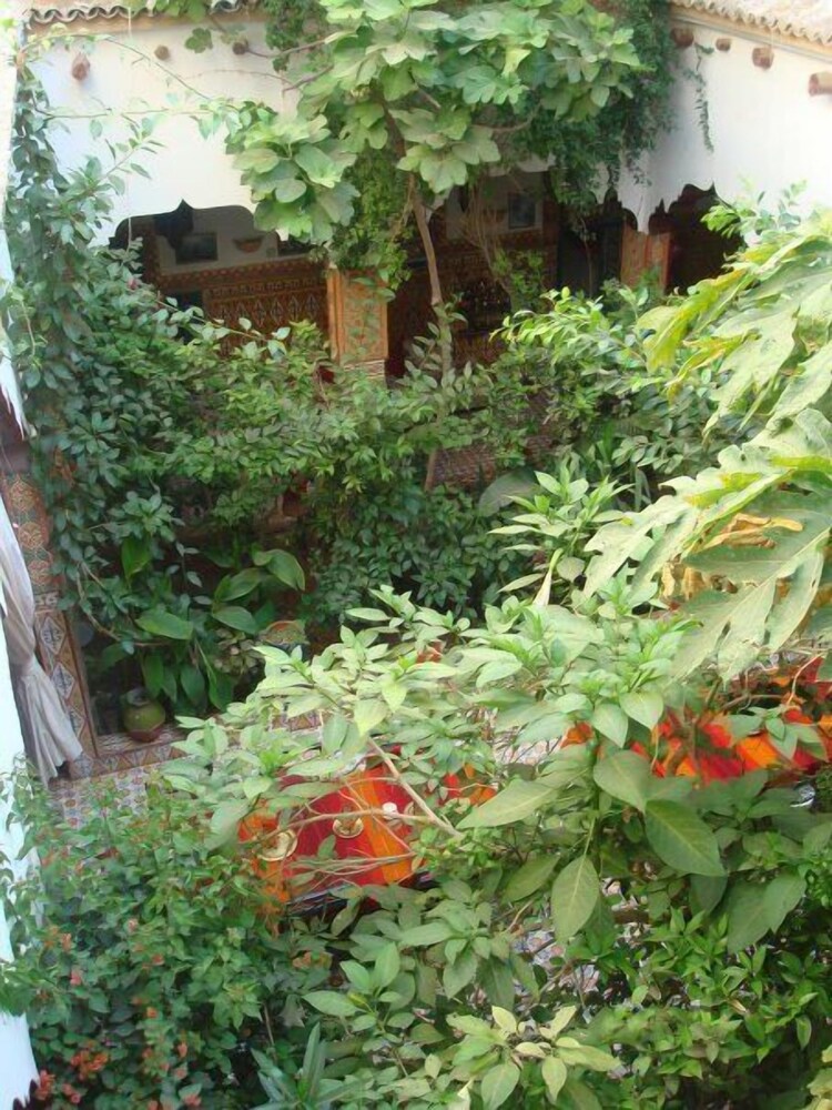 riad maryam