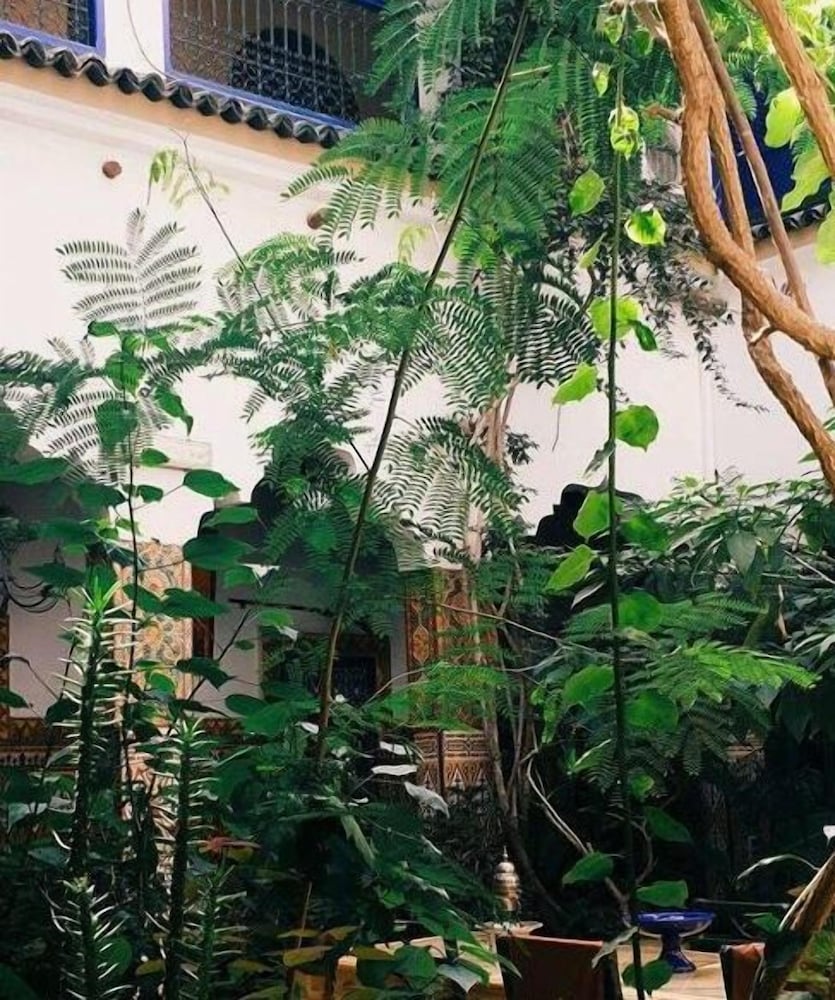 riad maryam