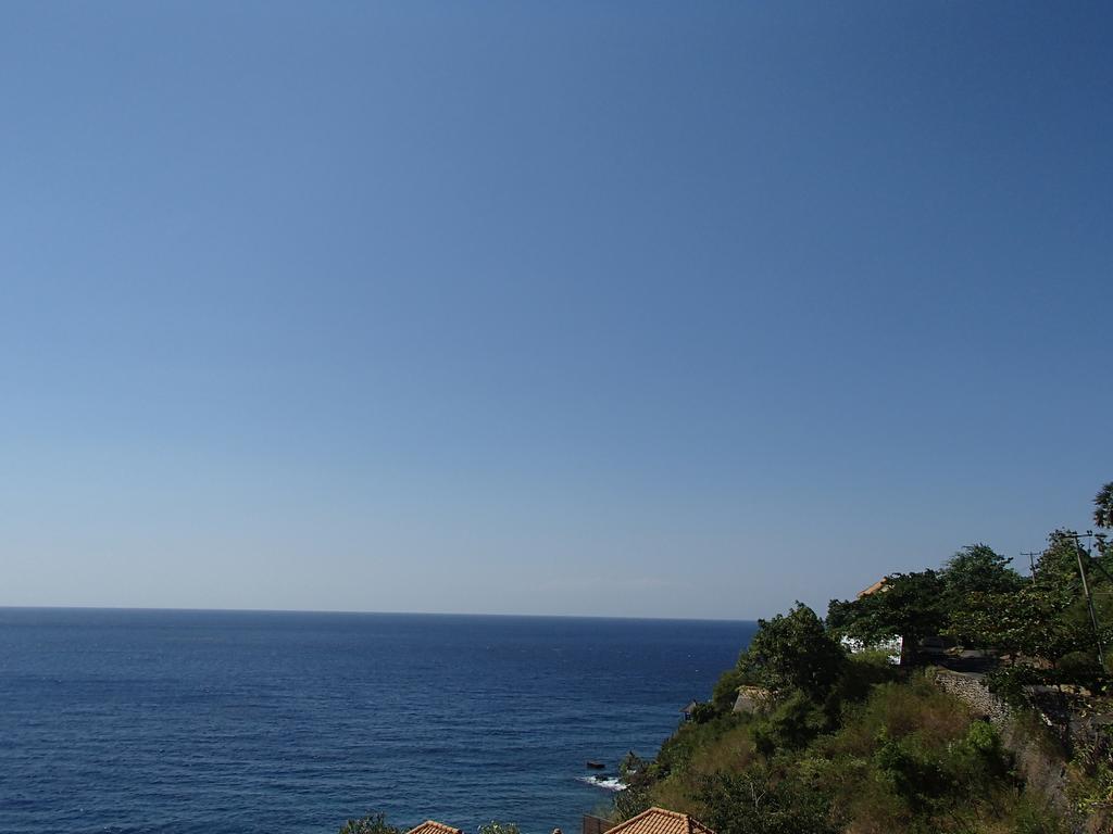 amed