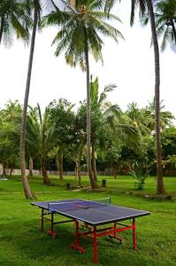 bali au naturel adults only