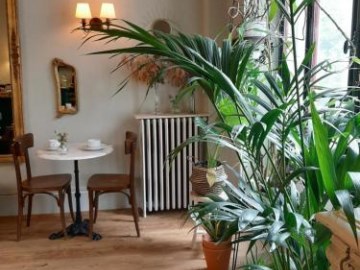 hotel saint charles and coliving