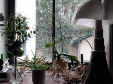 hotel saint charles and coliving