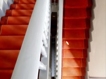 hotel saint charles and coliving