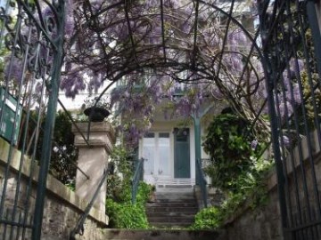 hotel saint charles and coliving