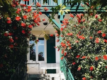 hotel saint charles and coliving