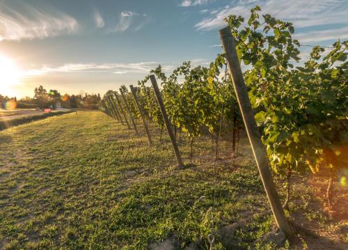 Tenuta La Borghetta,Desenzano Del Garda>>Brescia,3 star