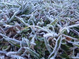 serra bela eco pousada