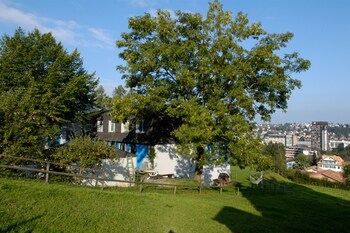 youth hostel st gallen