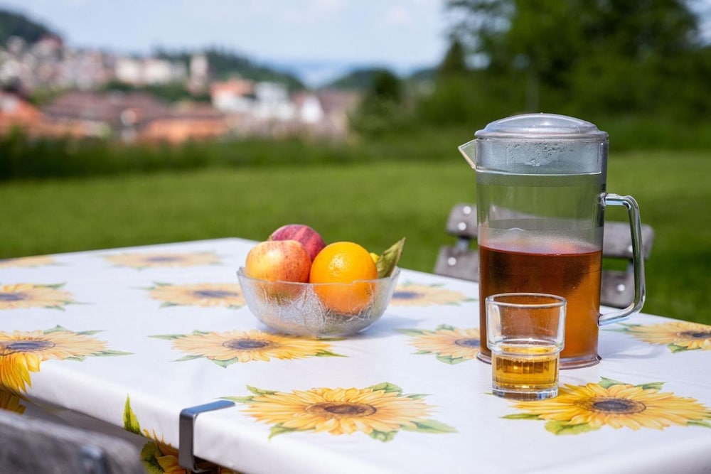 youth hostel st gallen