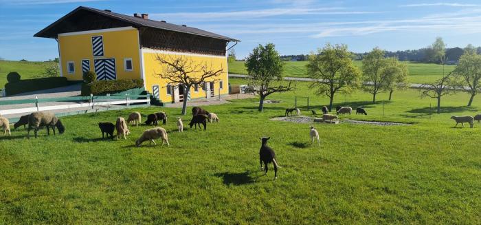 landgasthof entenwirt tarsdorf