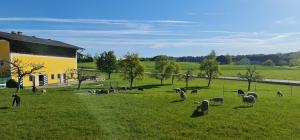 landgasthof entenwirt tarsdorf