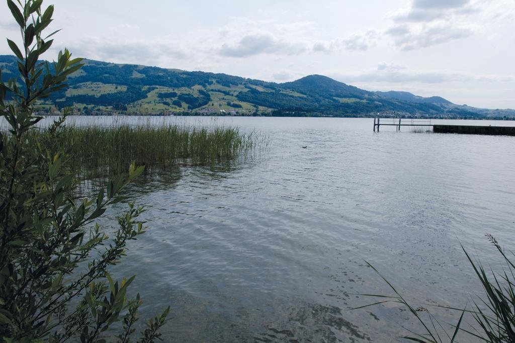 youth hostel rapperswil jona