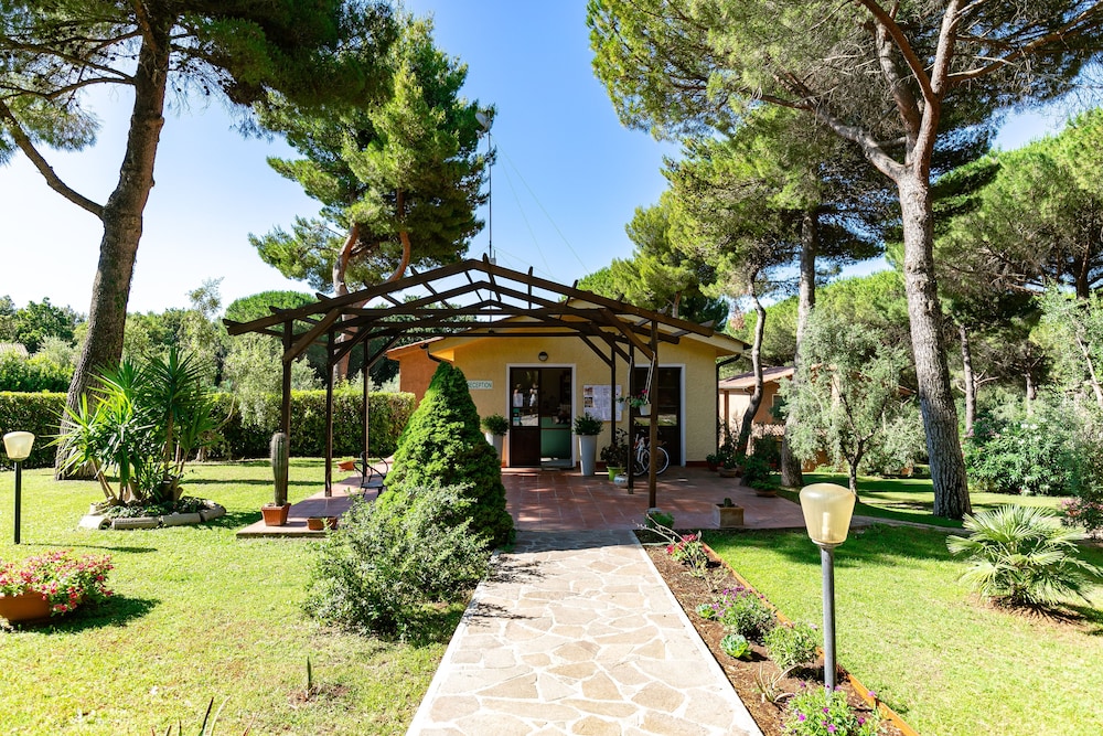 guardistallo