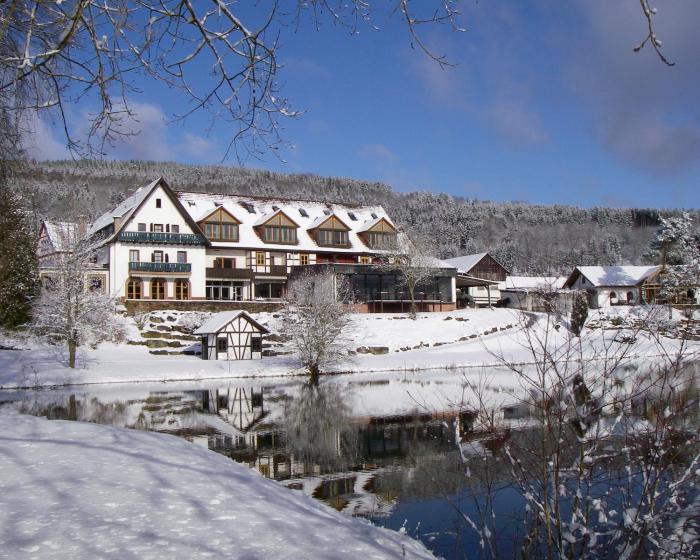 seehotel gut durnhof