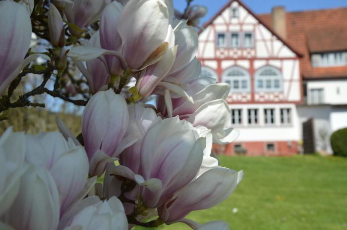 seehotel gut durnhof