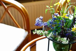 seehotel gut durnhof