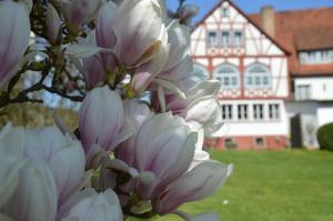 seehotel gut durnhof