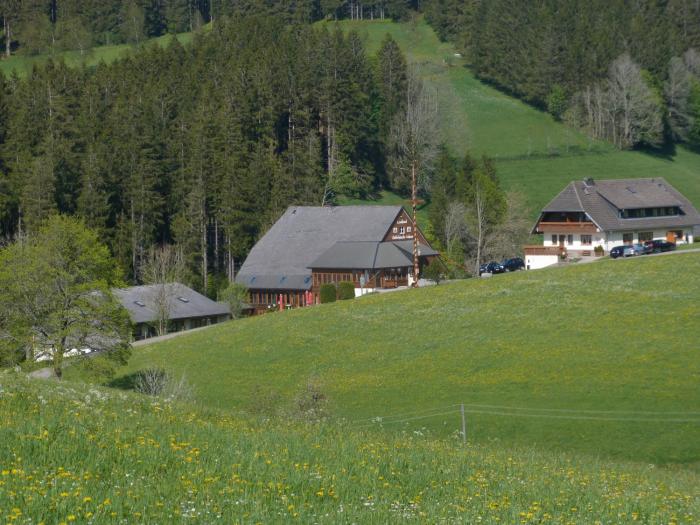 thalerhausle