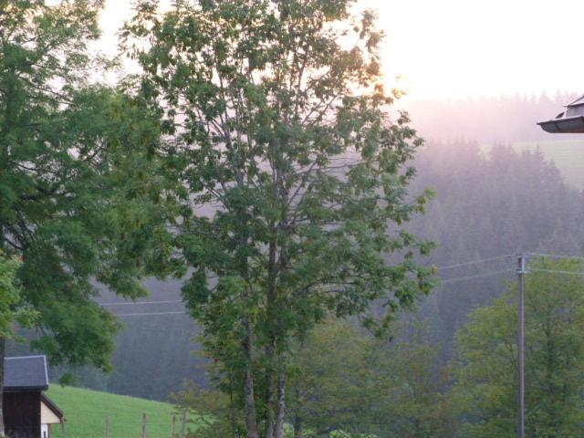 thalerhausle