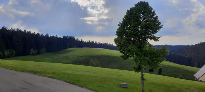 furtwangen