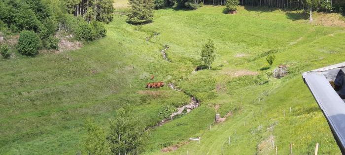 furtwangen