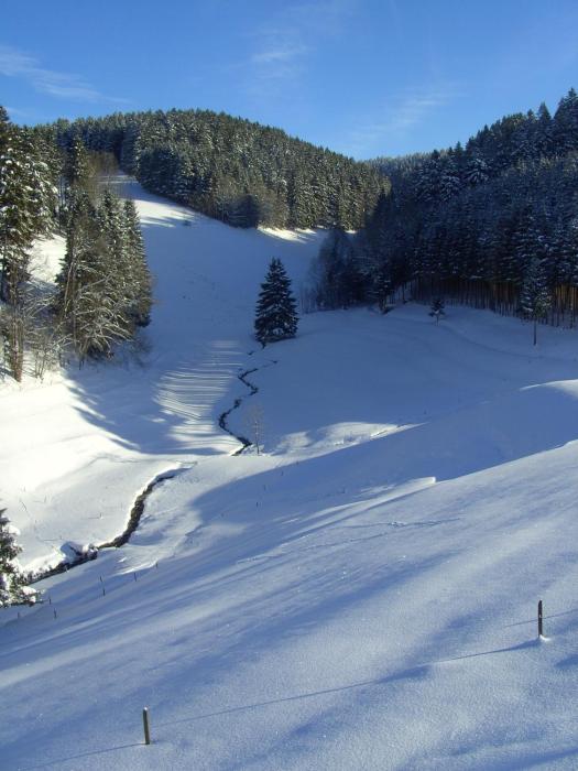 furtwangen