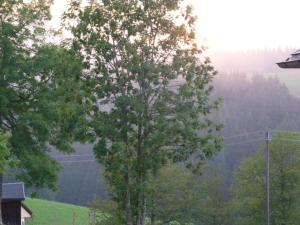 furtwangen