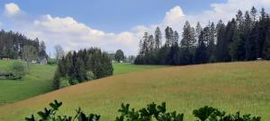 furtwangen