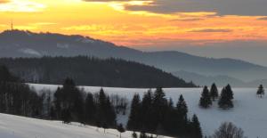 furtwangen