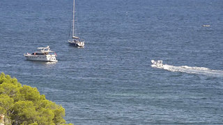 alcudia
