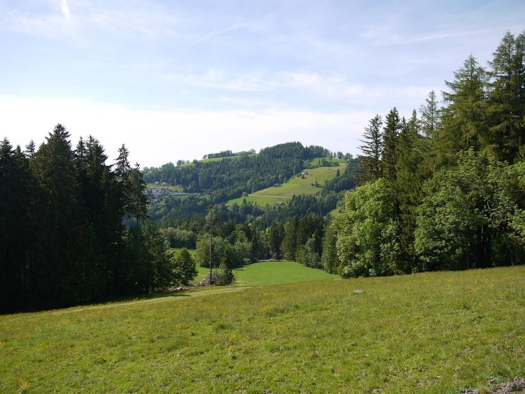 Hirschen Wald - Gasthaus & Bäckerei,Appenzell Ausserrhoden>>Appenzell,2 star