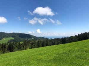 hirschen wald gasthaus and backerei