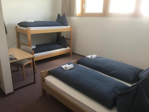 Alpenlodge Kuehboden,Goms>>Fiesch,3 star