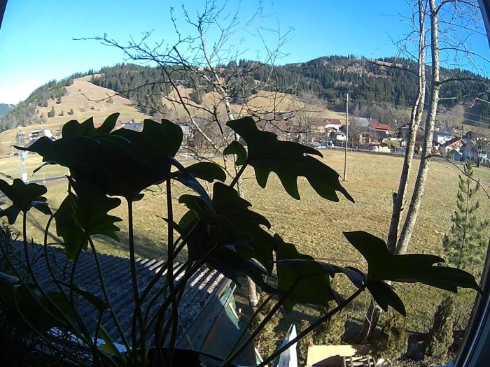 alpenblick schattwald