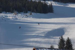 alpenblick schattwald