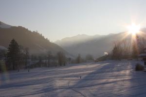 alpenblick schattwald