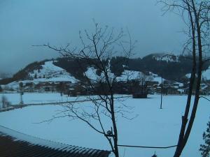 alpenblick schattwald