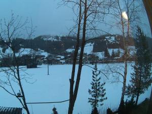 alpenblick schattwald