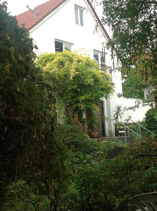 bed and kitchen burgau