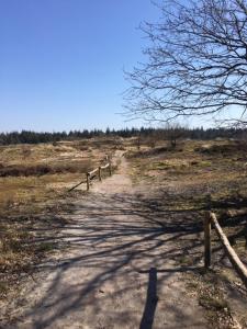 Reiterhof Wollesen,Nordfriesland>>Braderup,3 star