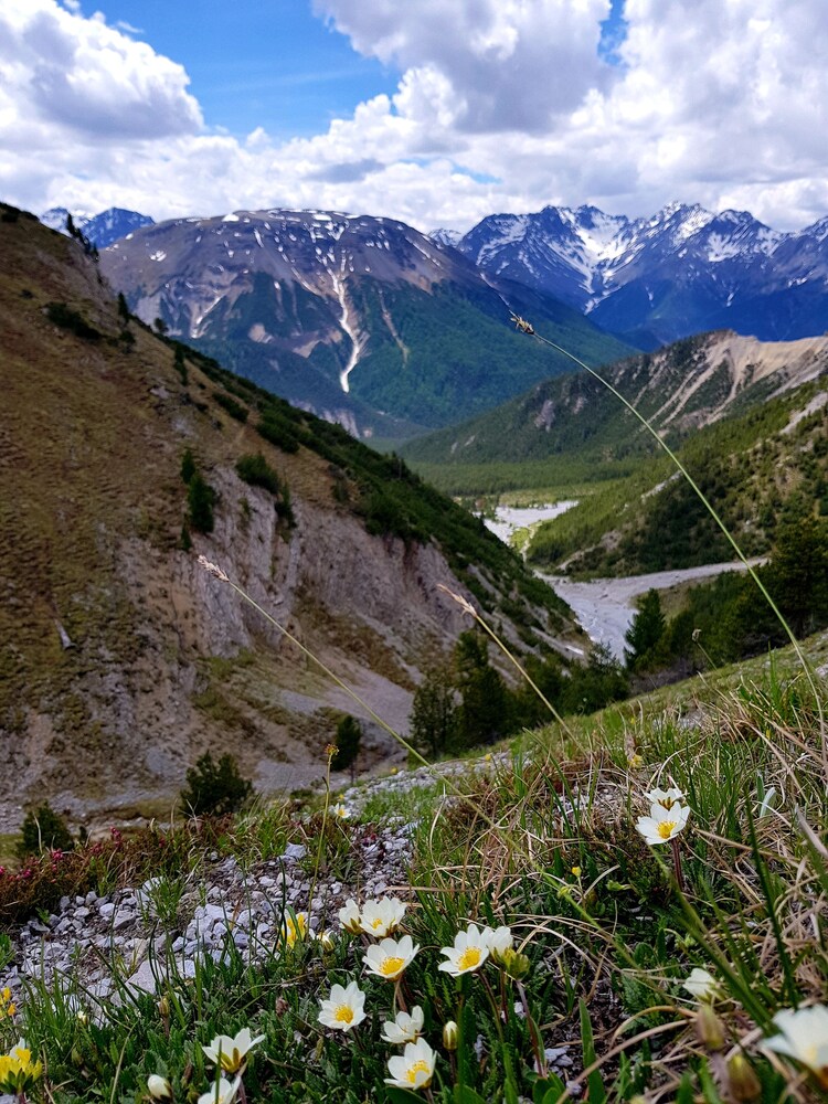 hotel baer and post zernez