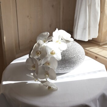 Hotel Baer & Post Zernez,Zernez>>Davos-Platz,4 star