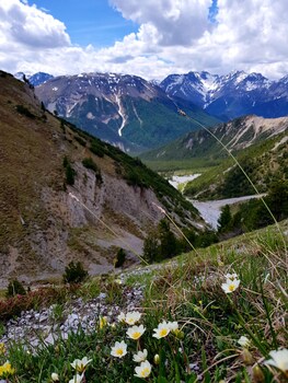 zernez