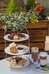 best western moores central hotel