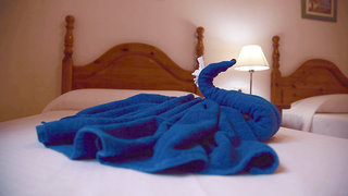 hyde park lane villas