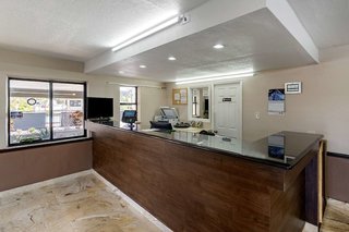 rodeway inn clearwater dunedin