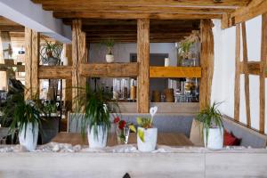 hotel adler ittendorf
