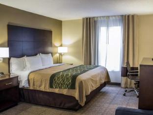 comfort inn